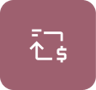 Professional Payment Experience