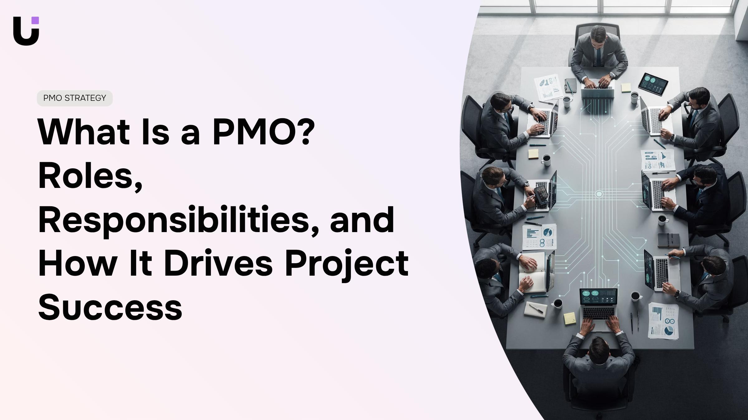 What does a PMO do in an organization