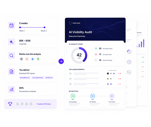 AI Visibility Audit